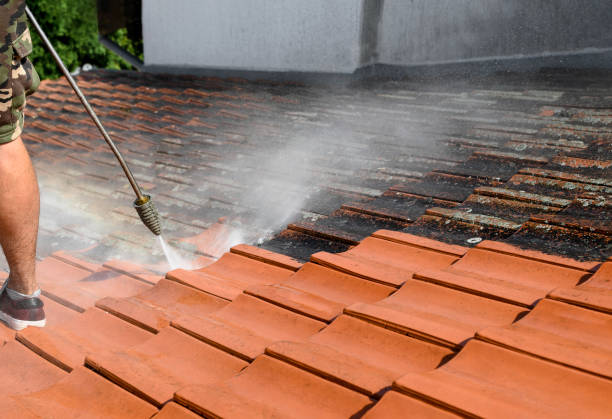 Best Local Pressure Washing Services  in Arnold Line, MS