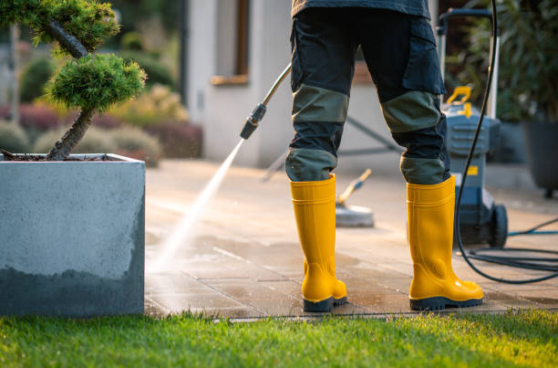 Best Affordable Power Washing  in Arnold Line, MS